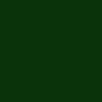 RAL6009